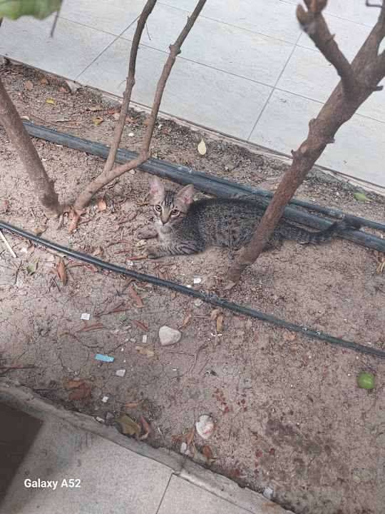 Ausblick Well Palace Side