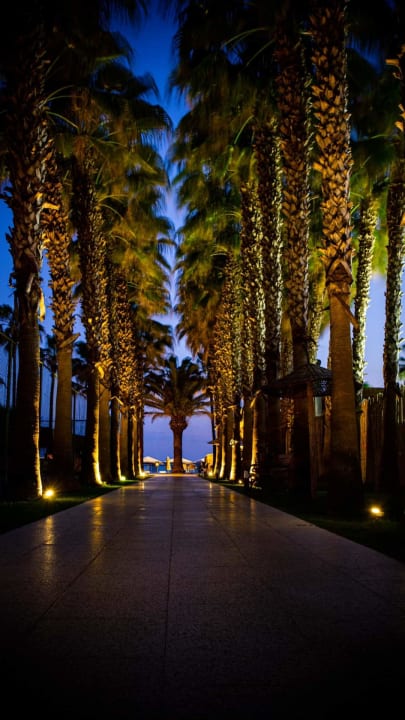 Gartenanlage Miramare Queen Hotel