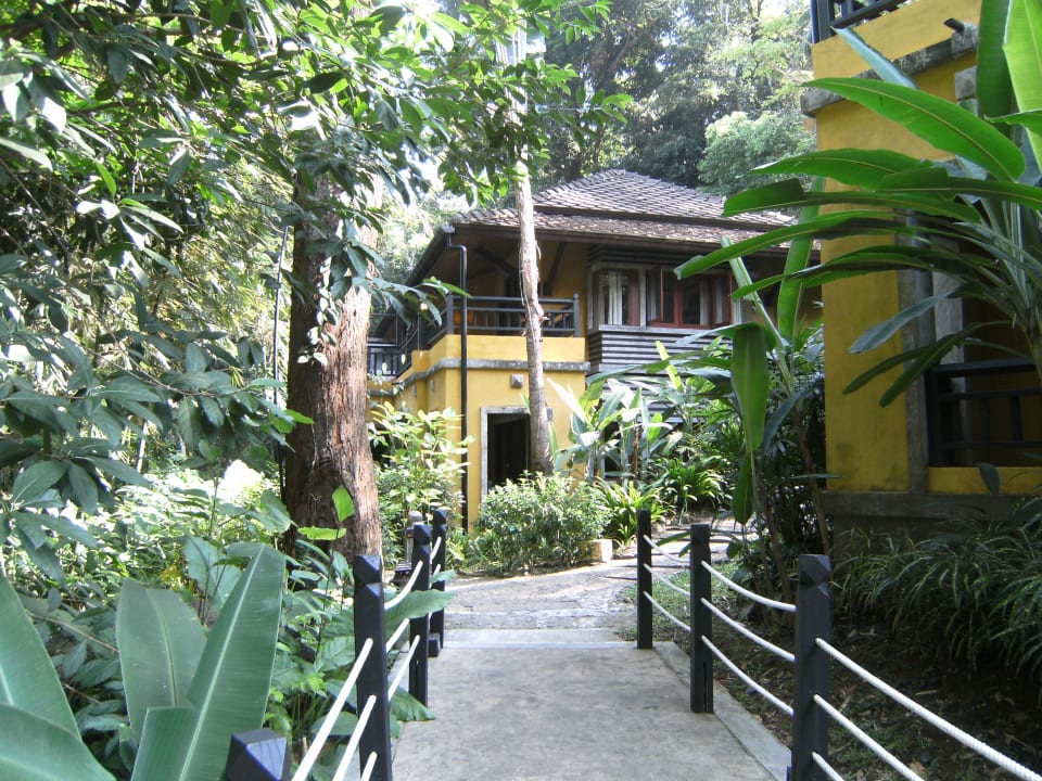 Dschungelcamp  Moracea by Khao Lak Resort