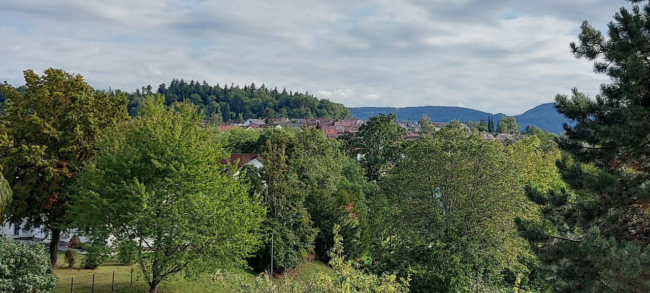 Zimmer Hotel Stadt Balingen