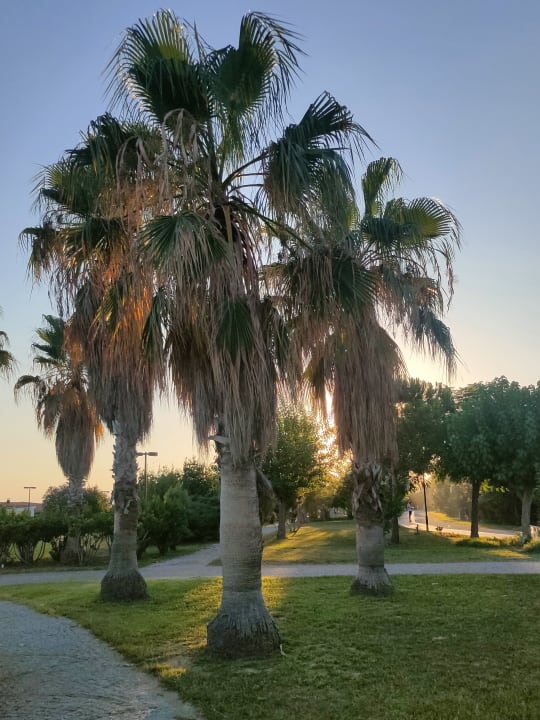 Gartenanlage Aydinbey Kings Palace & Spa