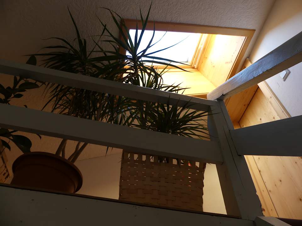 Sonstiges Ferienhaus Hölzl