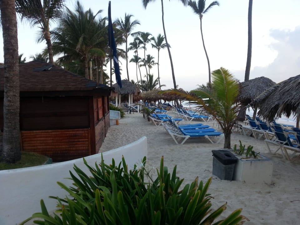 Strandbar Vik Hotel Arena Blanca & Cayena Beach