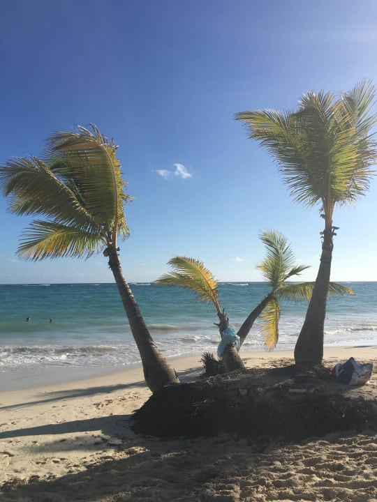 Strand Hotel Riu Palace Bavaro