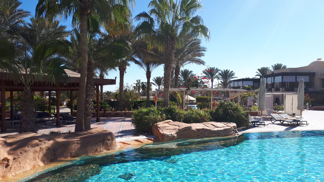 Pool Steigenberger Coraya Beach - Adults only