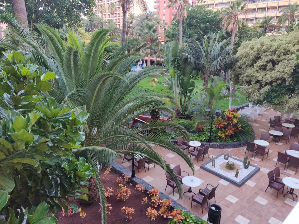 "Gartenanlage" Bahia Principe Sunlight San Felipe (Puerto de la Cruz