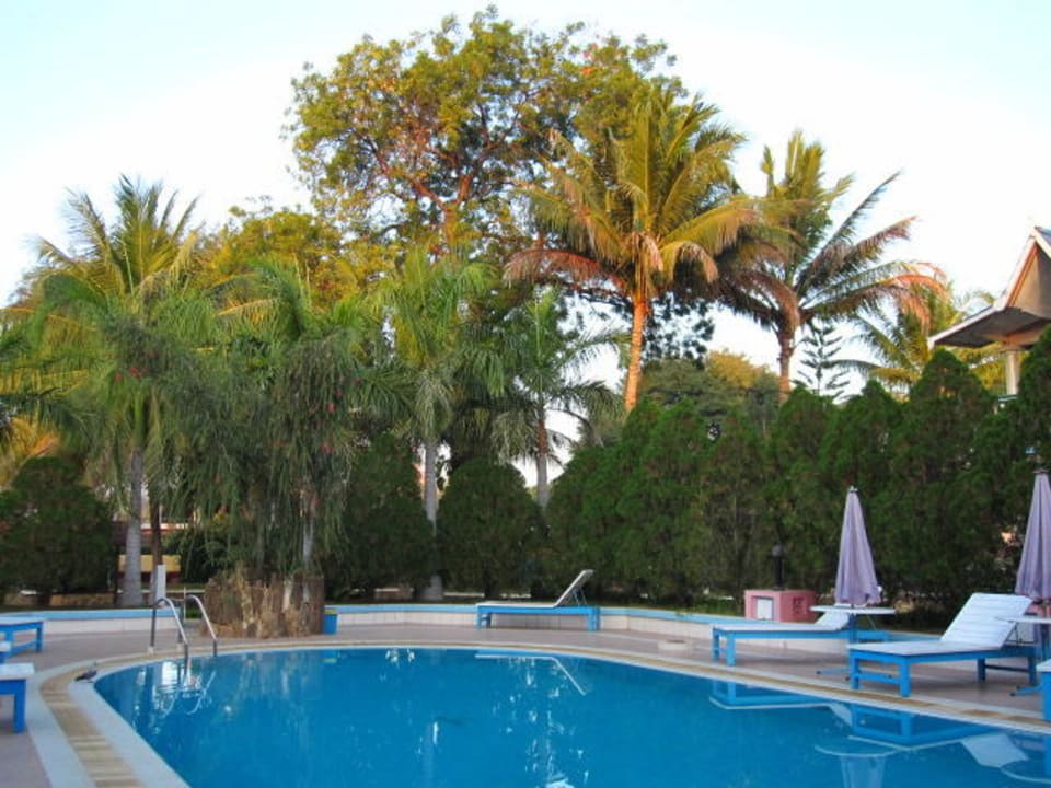 Pool Golden Express Hotel