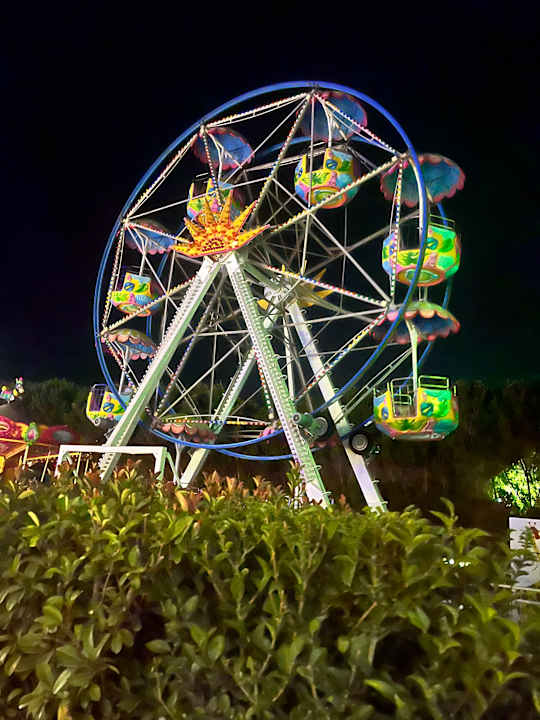 Sport & Freizeit Adalya Elite Lara