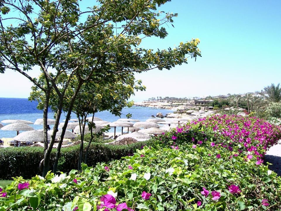 Gang durch die Hotelanlage Pickalbatros Royal Grand Resort - Sharm El Sheikh