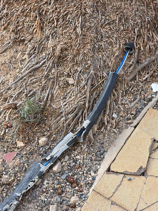 Gartenanlage SBH Fuerteventura Playa