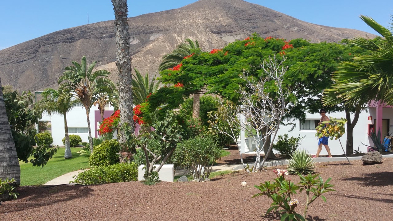 Gartenanlage allsun App.-Hotel Esquinzo Beach