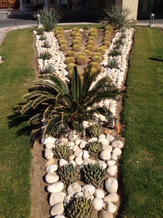 Gartenanlage Beach Albatros Resort