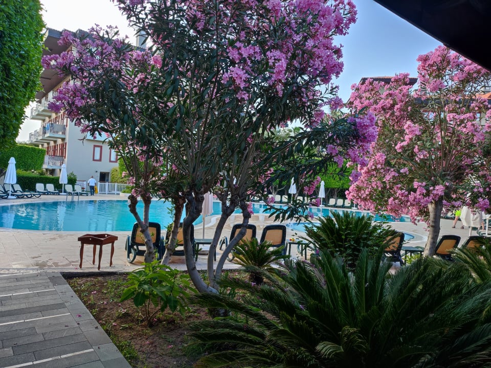 Pool Club Grand Side