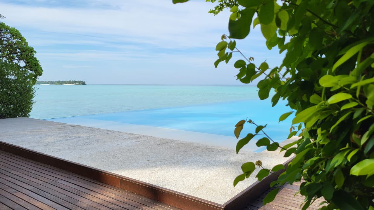 Pool Summer Island Maldives