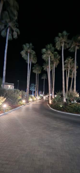 Gartenanlage allsun Hotel Carolina Mare