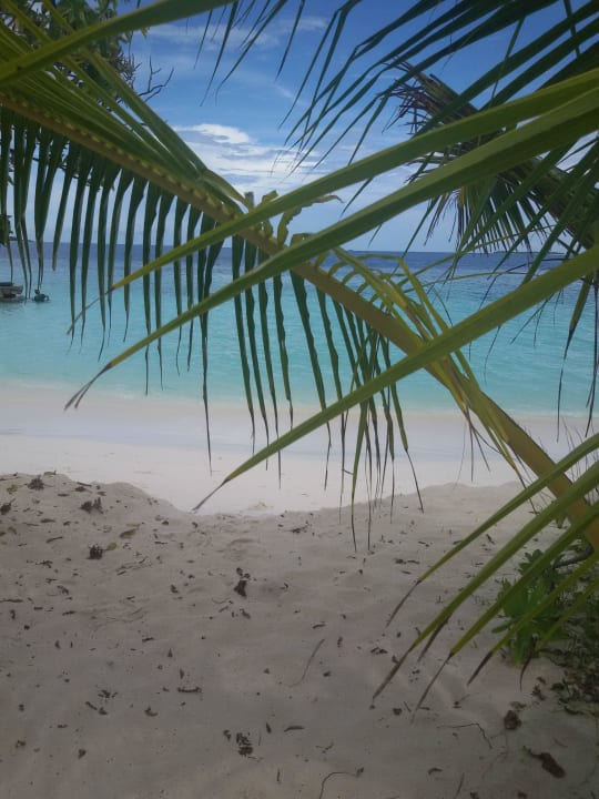 Blick von der Liege auf den Ozean Adaaran Select Meedhupparu Island Resort - Premium All Inclusive