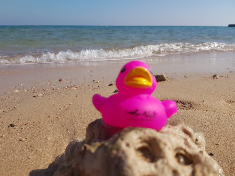 Strand Palm Beach Resort