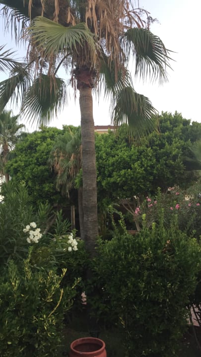 Gartenanlage Saphir Hotel & Villas