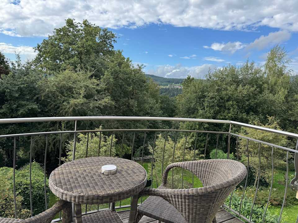Ausblick Spirit & SPA Hotel Birkenhof am Elfenhain