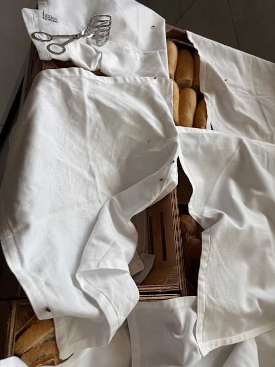 Sonstiges Hotel Riu Palace Boavista