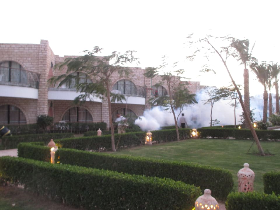 Ausblick Aladdin Beach Resort