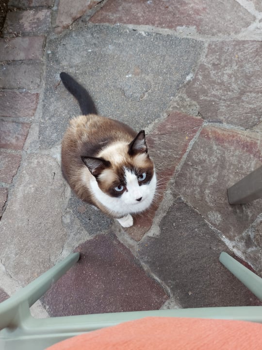 Sonstiges HOVIMA Jardin Caleta