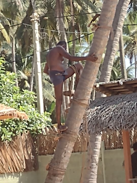 Gartenanlage Club Palm Bay