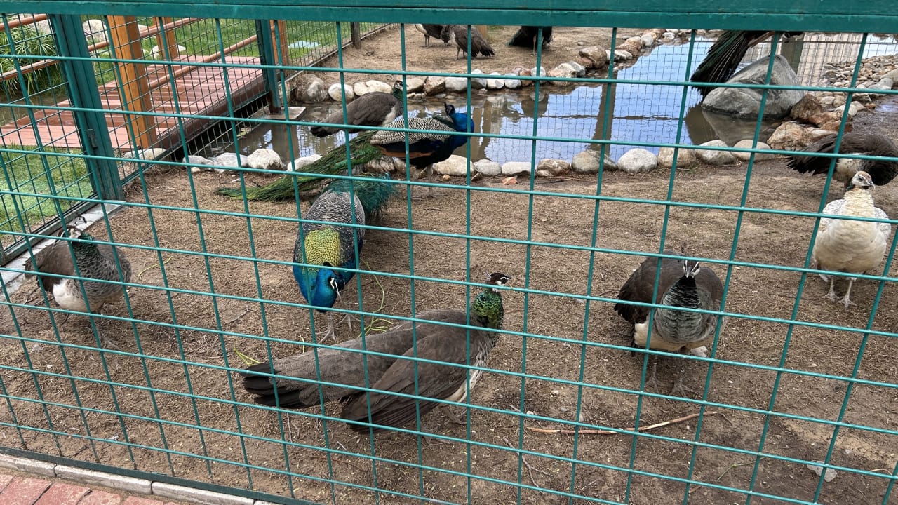 Sonstiges Grand Hyatt Dubai