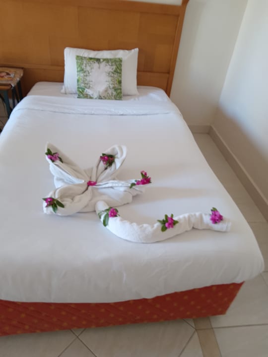 Zimmer Regina Resort and Aqua Park Hurghada