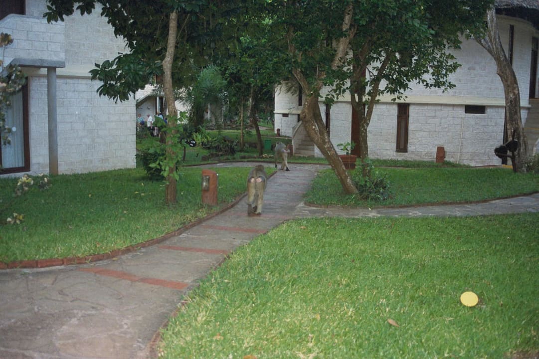 Garten Baobab Beach Resort & Spa