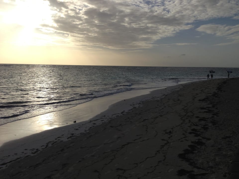 Strand am morgen  Ocean Blue & Sand