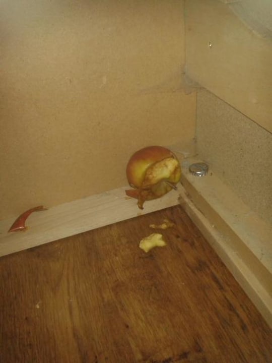 Schlafsofa Ferienwohnungen Ferienpark Weissenhäuser Strand