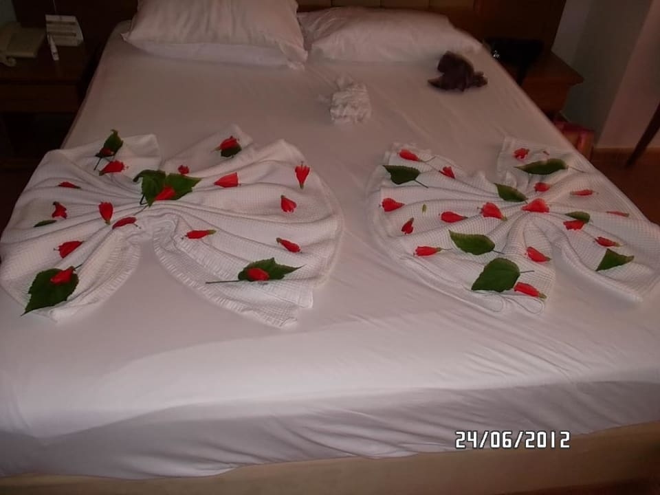 Bettdeko Selectum Family Comfort Side