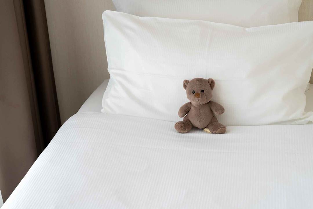 Zimmer PLAZA Premium Den Haag City Center