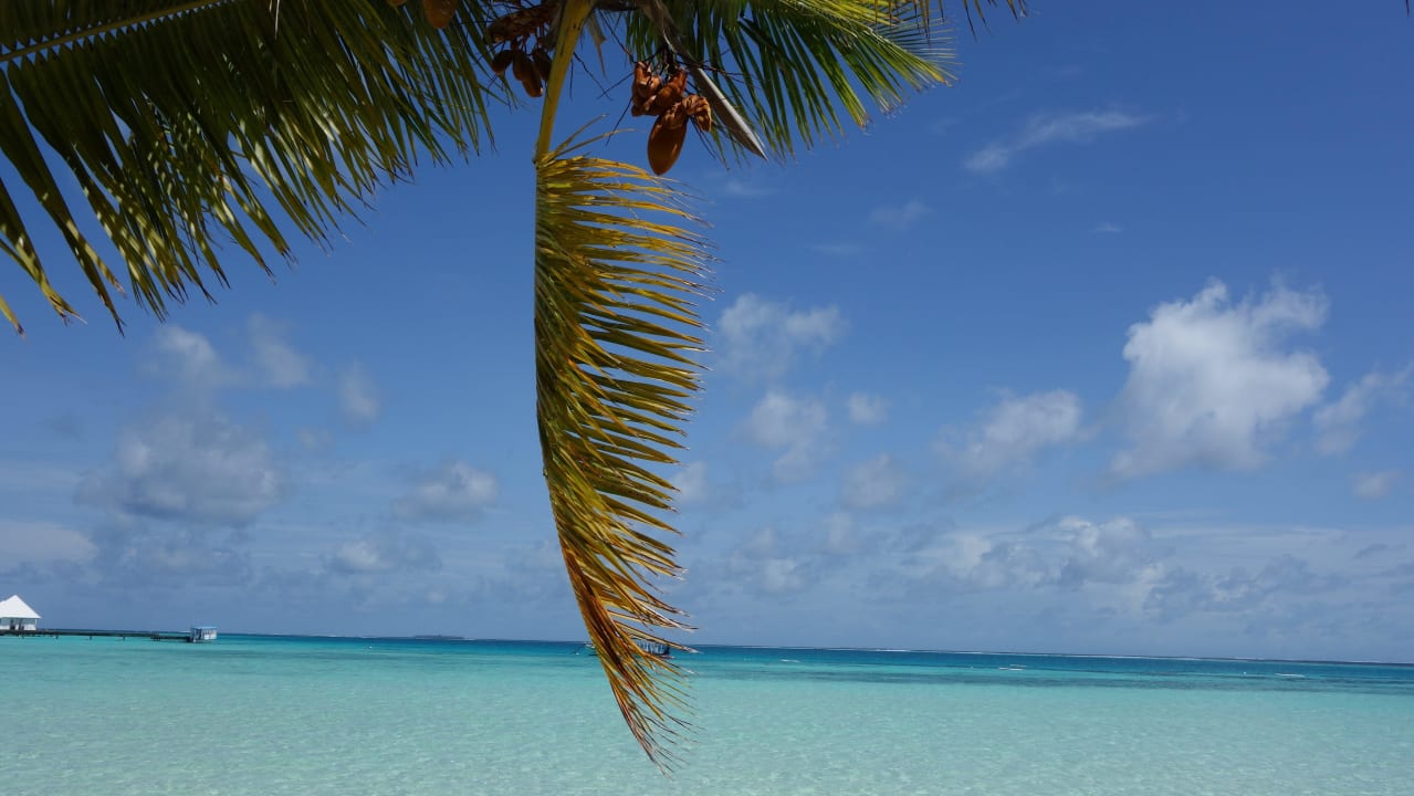 Strand ananea Diamonds Athuruga