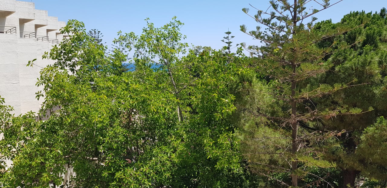 Ausblick Apollonia Beach Resort & Spa