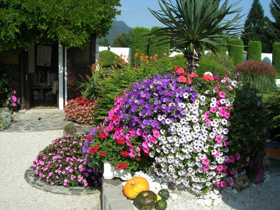 Gartenanlage Ferienwohnungen Thon