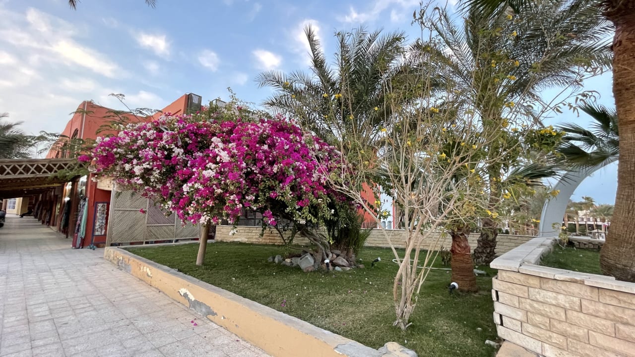 Außenansicht Arabia Azur Resort