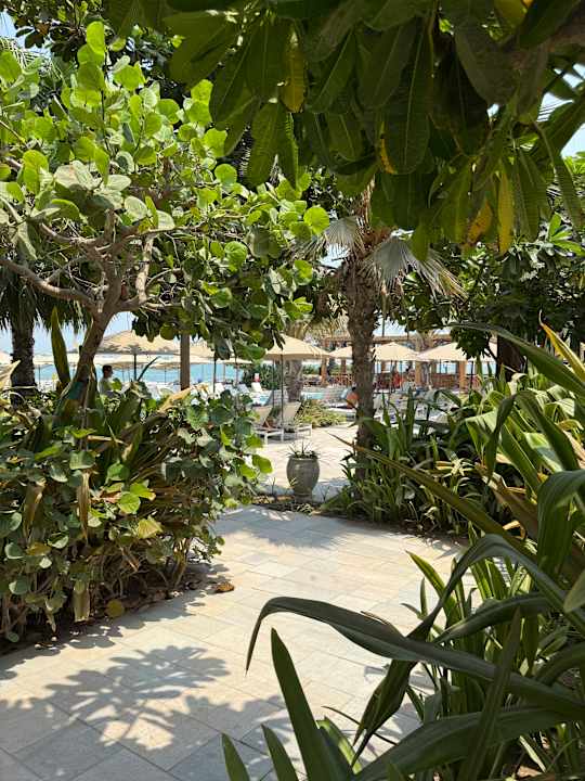 Strand Mövenpick Resort Al Marjan Island