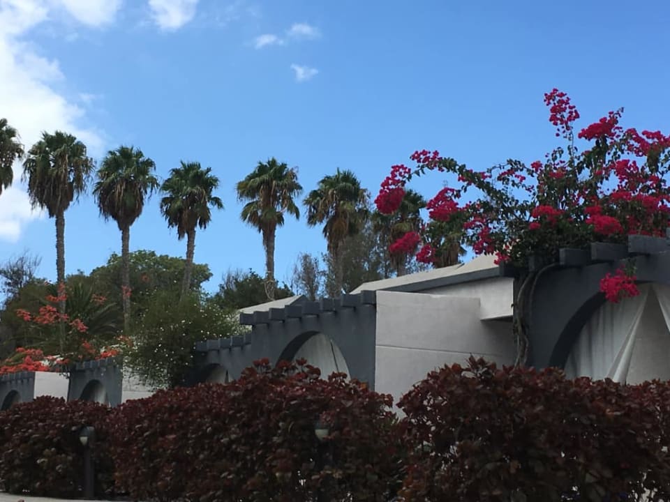 Część romantic R2 Bahía Playa Design Hotel & Spa - Adults Only