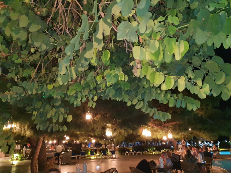 Gastro Turquoise Hotel