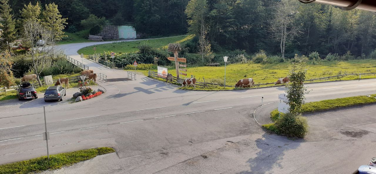 Ausblick Familienparadies MoNi