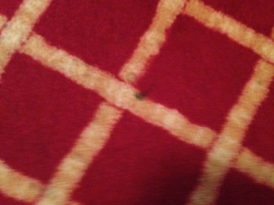 Flecken überall auf dem Teppich  Hotel Müller