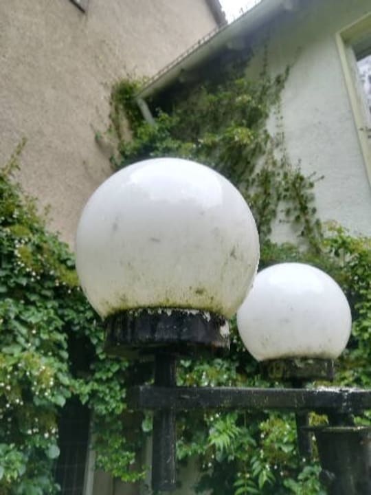 Gartenanlage Hotel Albrechtshof