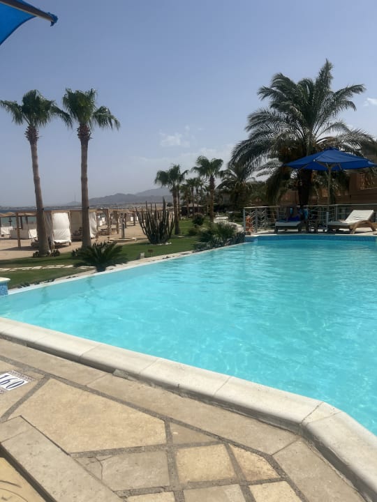 Pool Shams Prestige Abu Soma-Adults Only