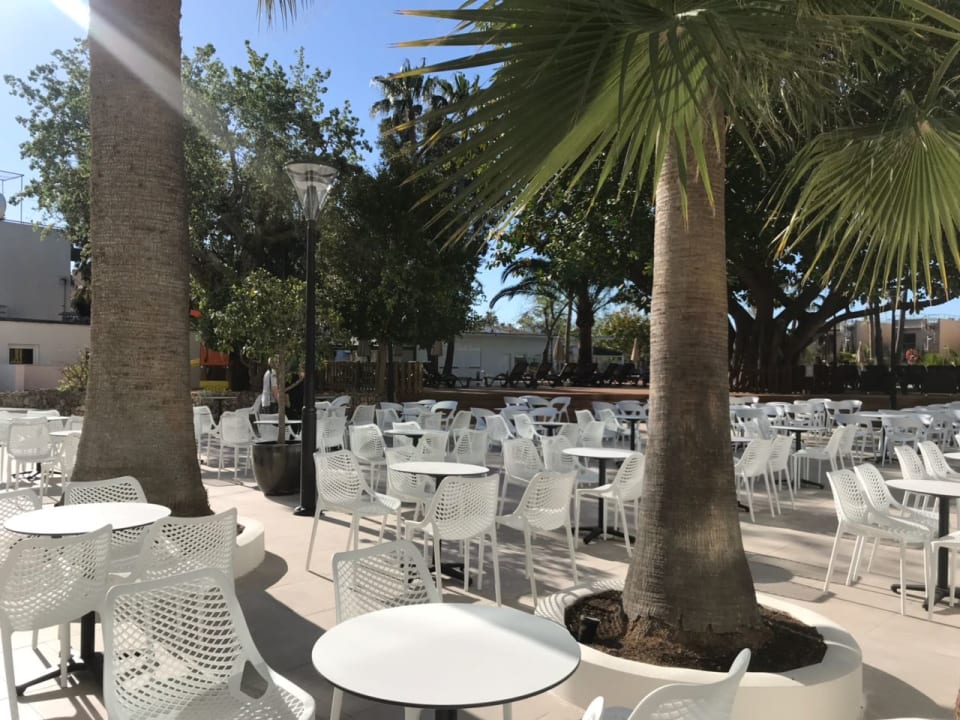 Bilder aus April 2018 Alua Boccaccio