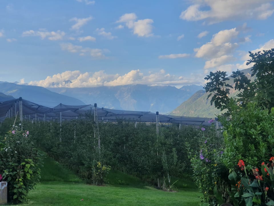 Ausblick Hotel Gantkofel