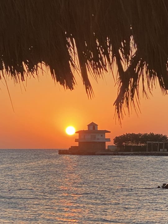 Ausblick Desert Rose
