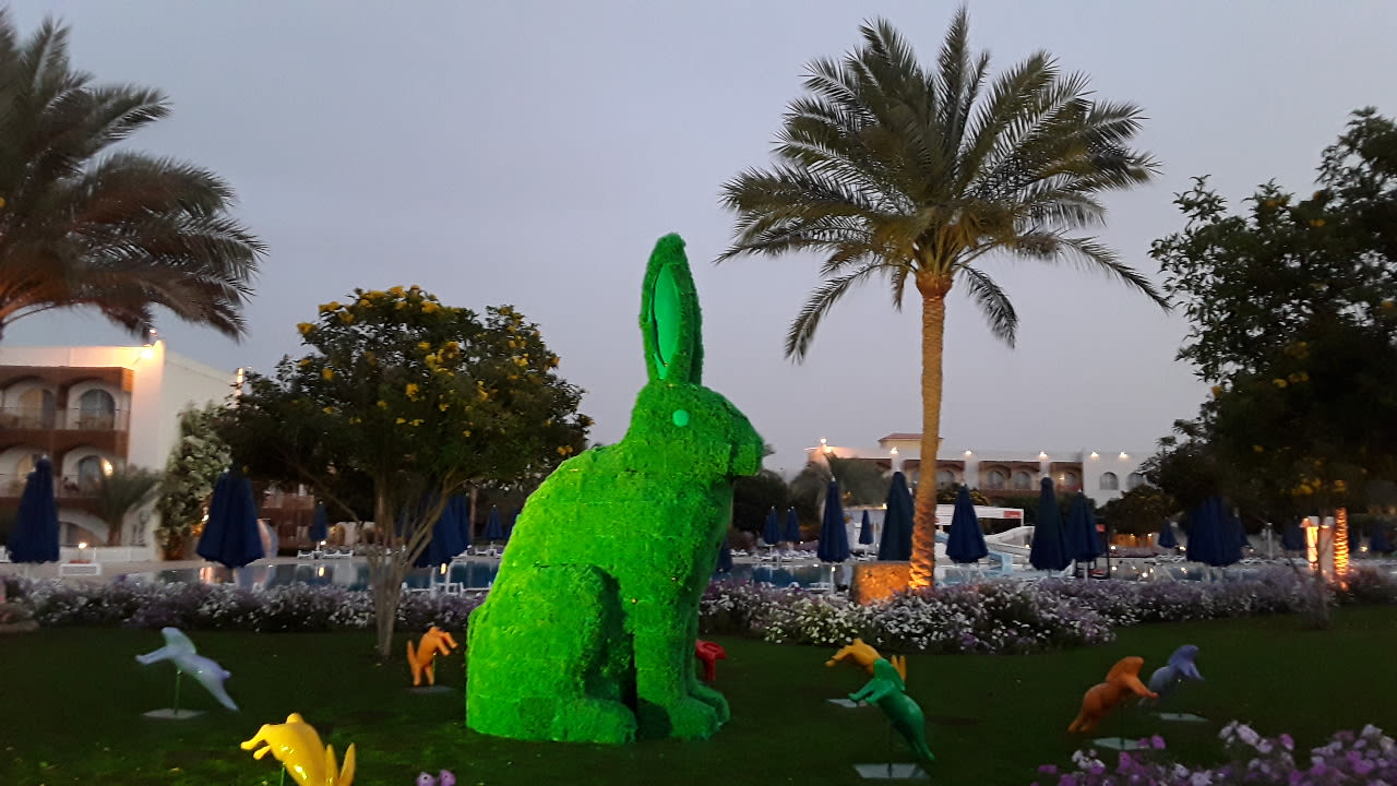 Gartenanlage Desert Rose