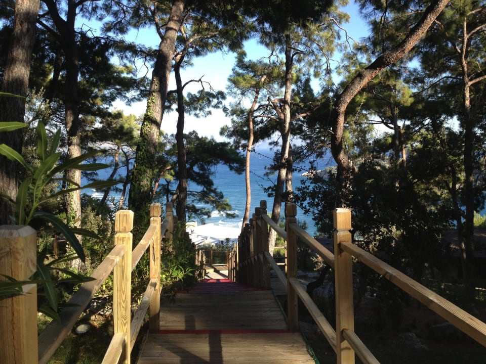 Park TUI BLUE Seno - Adults Only